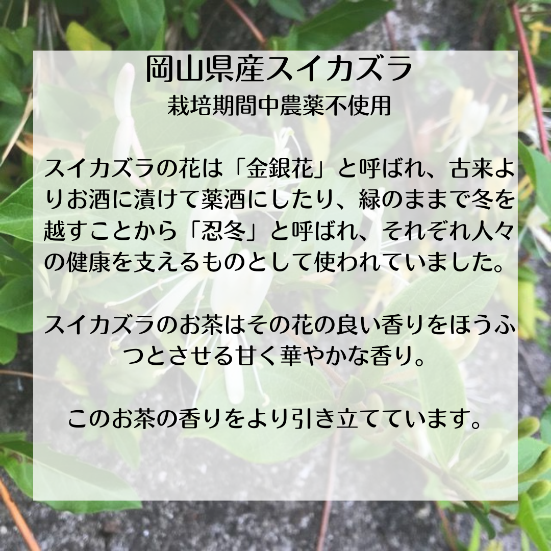 はれやか茶 10g