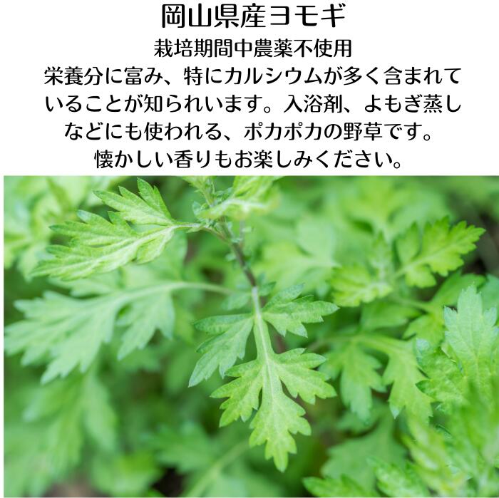 おやこすこやか茶 30g