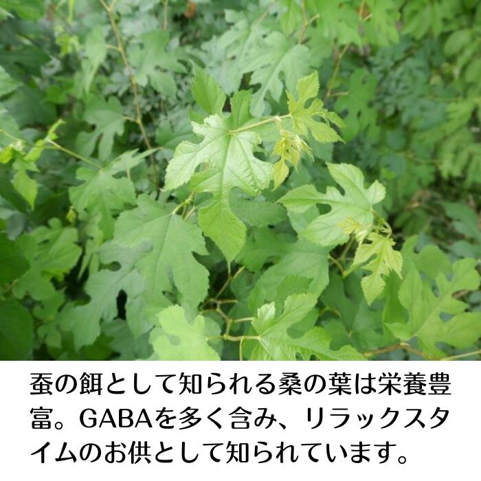 すやすや茶(スティックタイプ* 15本・30本)
