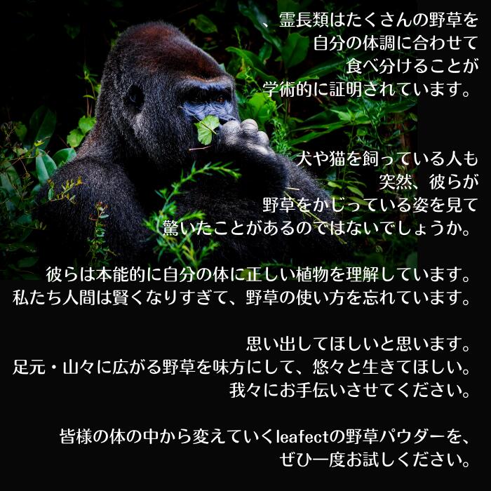 すやすや茶(スティックタイプ* 15本・30本)