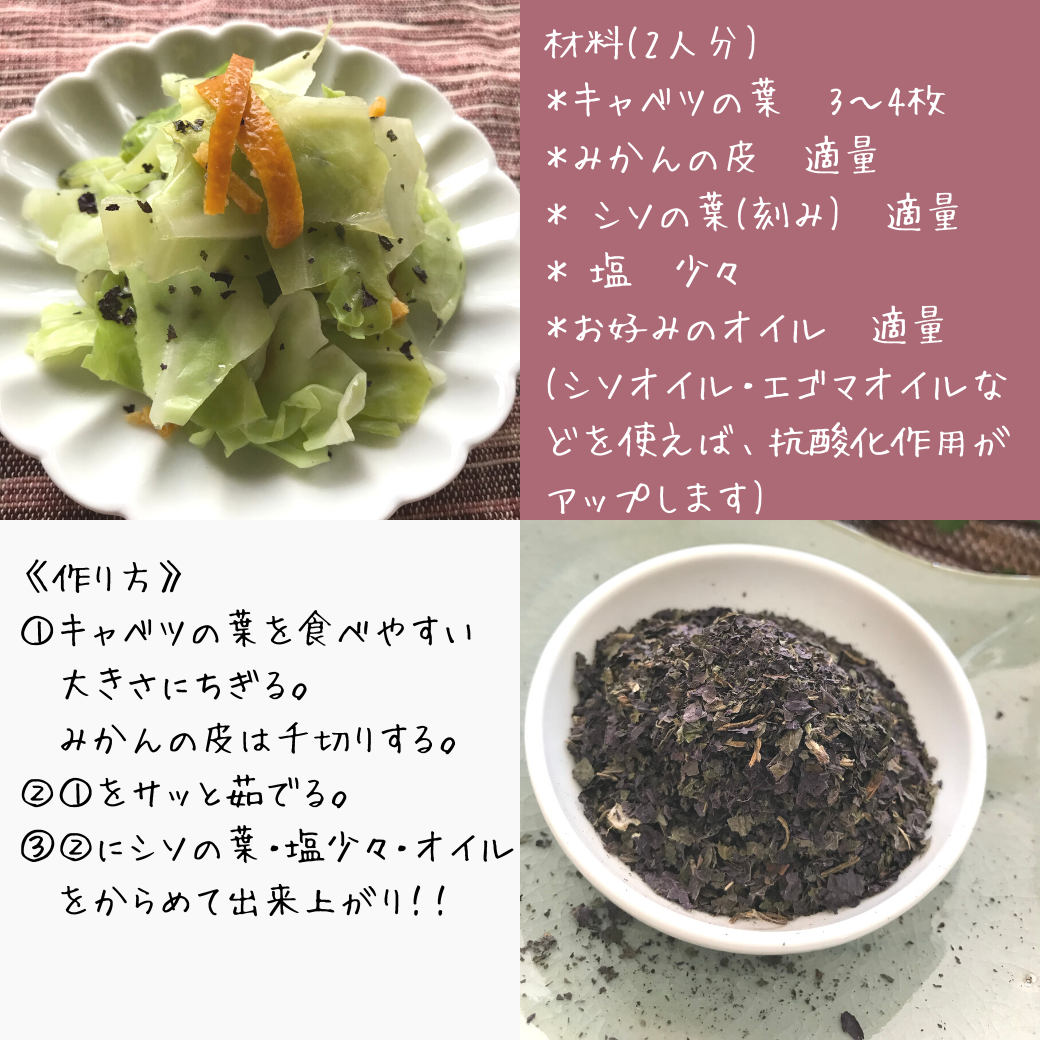 シソの葉