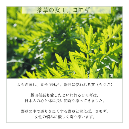 温泉気分のポカポカ茶 10g(約1か月分)