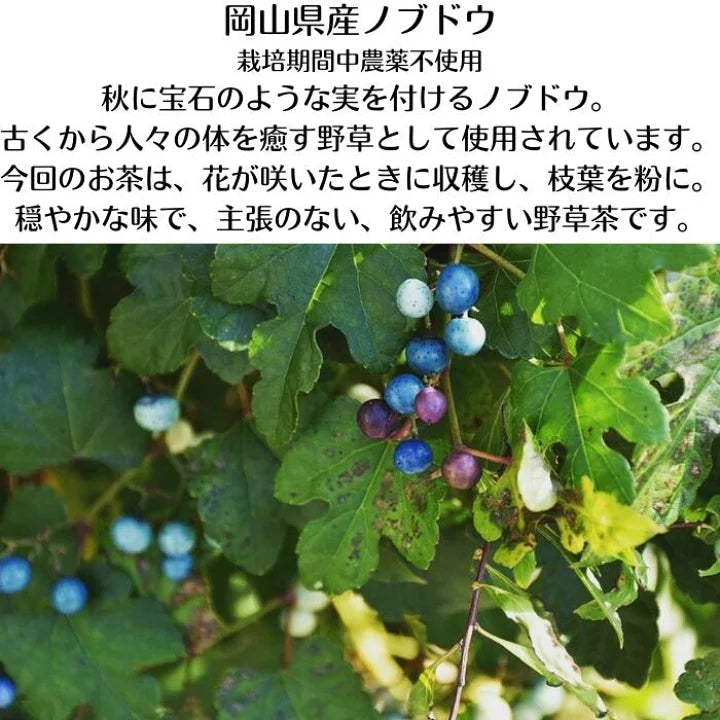 やわらぎ茶 30g