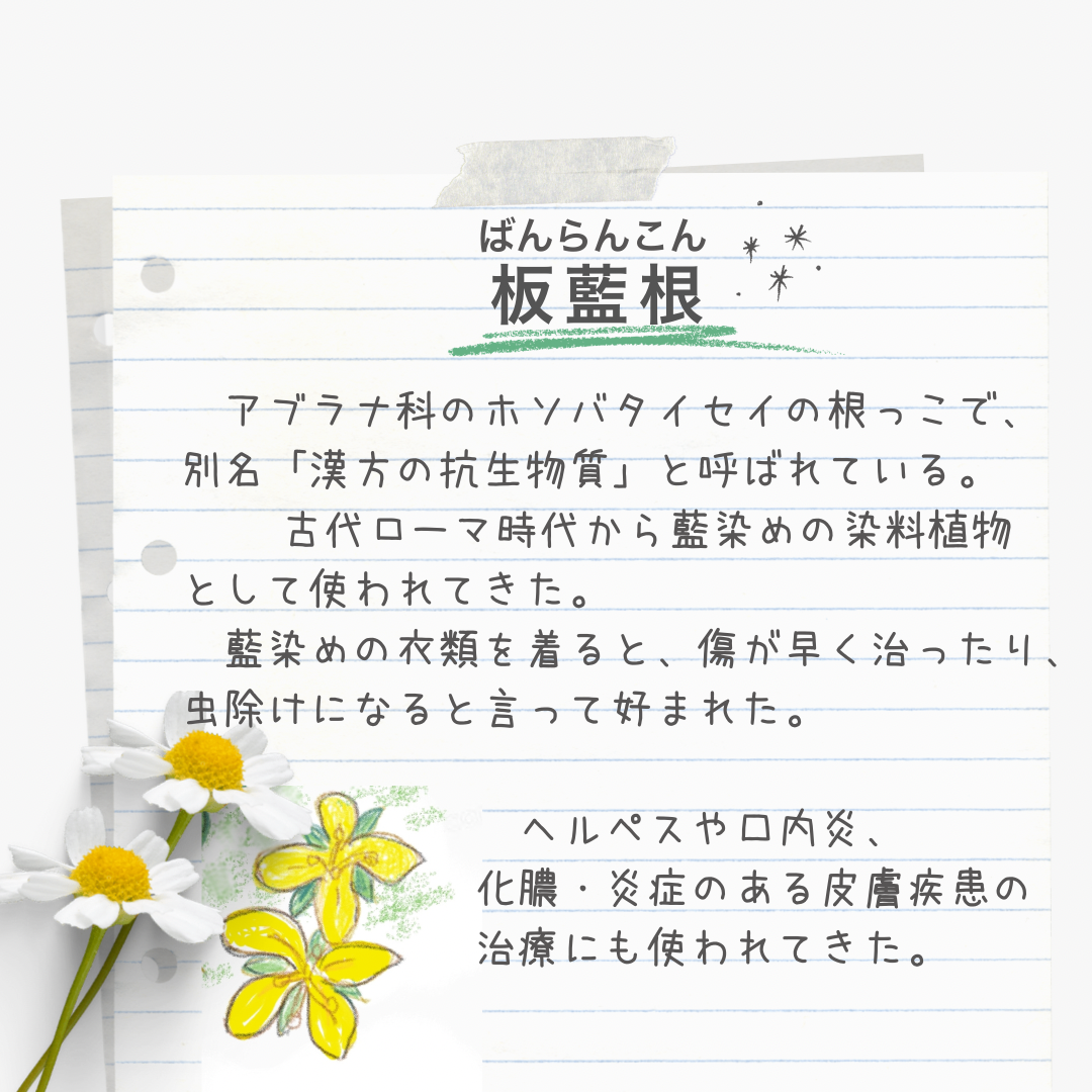 【セール!】バンランコンエキス 30日分