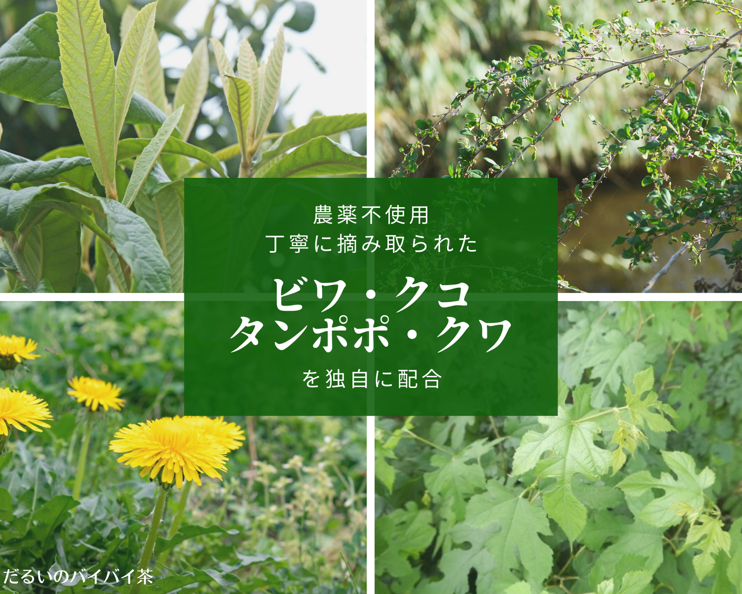 そうかい茶