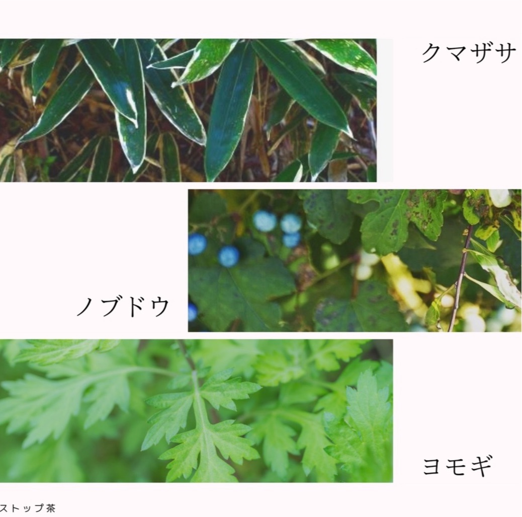やわらぎ茶 30g