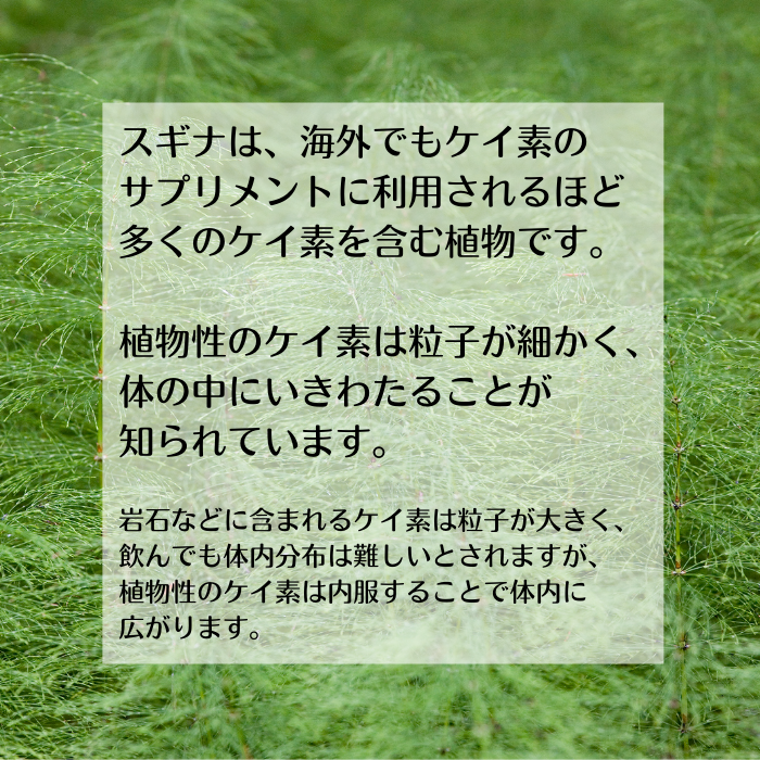 うつくし茶 50g 、0.3g×30包