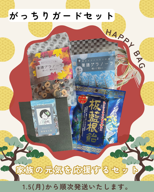 2026新春福袋『がっちりガードセット』