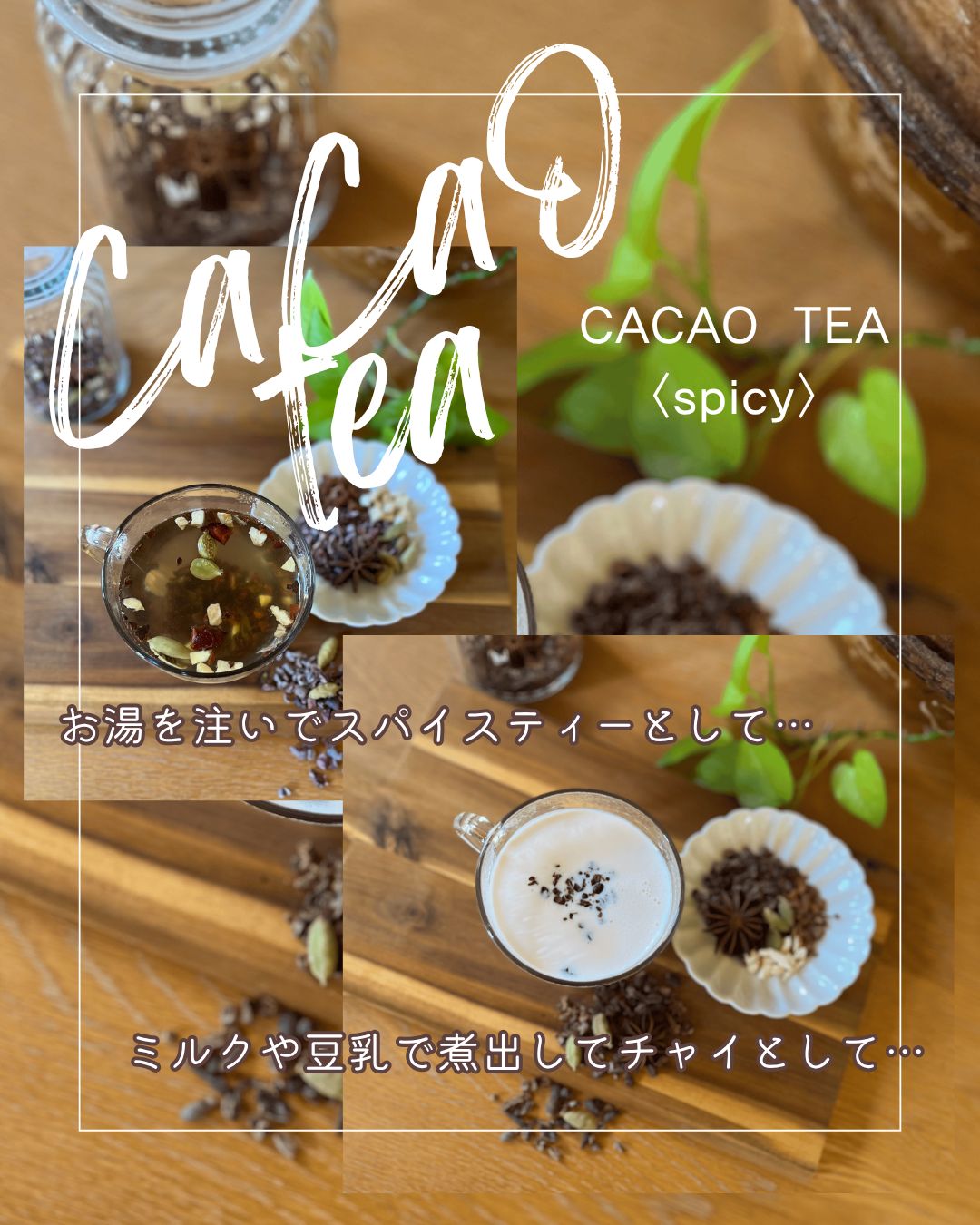 『カカオティー』〈フルーティー・スパイシー〉　数量限定！